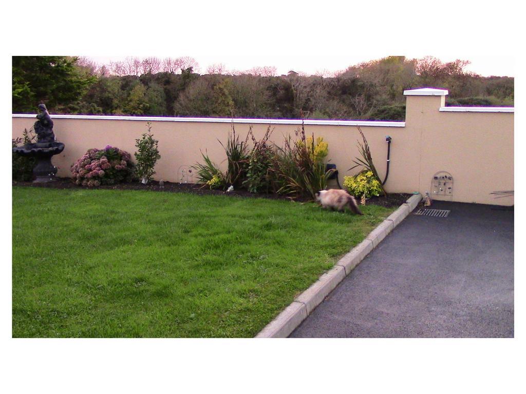 Ambrose Mews B&B Duncormick Luaran gambar